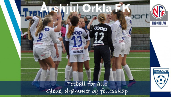 Arshjul OFK
